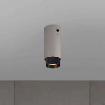 Exhaust Cross Steel Grey with Black Ceiling Spotlight