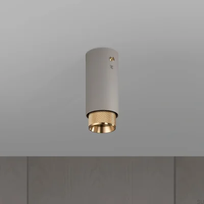 Exhaust Cross Steel Grey with Brass Spot Ceiling Lamp