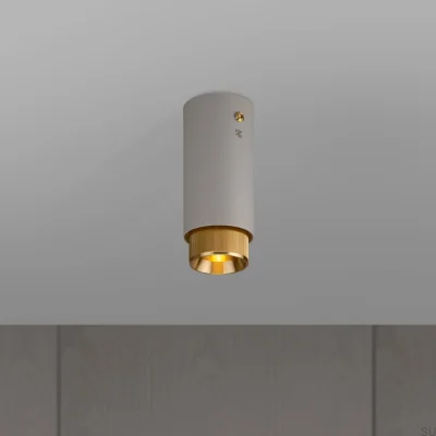 Exhaust Linear Steel Grey with Brass Spot Ceiling Lamp