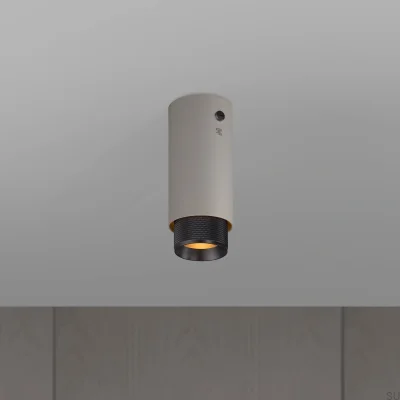 Exhaust Cross Steel Grey with Burnt Bronze Ceiling Spotlight