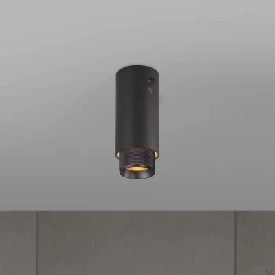 Exhaust Cross Ceiling Spotlight, Graphite Steel with Burnt Bronze