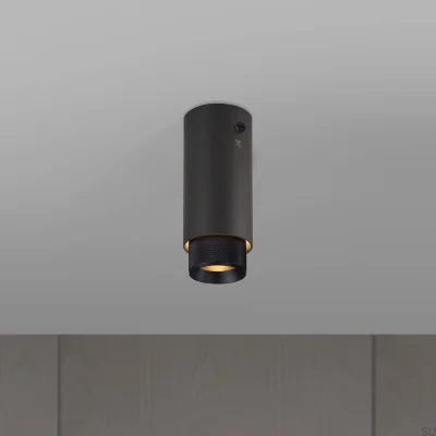 Exhaust Cross Ceiling Spot Lamp, Graphite Steel with Black