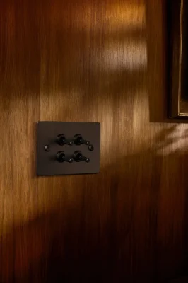 Detail Linear Burnt Bronze Brass Switch Decorative Kit