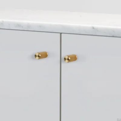 Linear 12 Brass Furniture Knob (Set of 2)