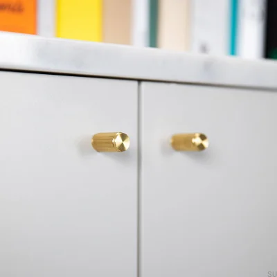 Linear 12 Brass Furniture Knob (Set of 2)