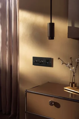 Decorative screws for the frame Detail Linear Burnt Bronze