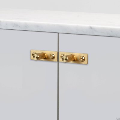 Furniture knob with washer Linear Plate 12 Brass (set of 2)