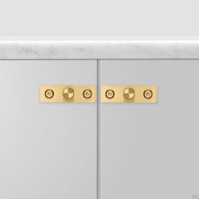 Furniture knob with washer Linear Plate 12 Brass (set of 2)