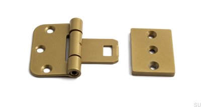 Symmetrical door hinges 2465 Steel Gold (set of 2)