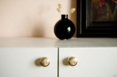 Furniture knob Wall hanger Hip 30 Brass Brushed Unpainted